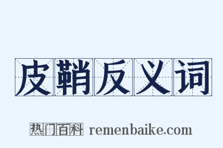 皮鞘反义词是什么意思的图片